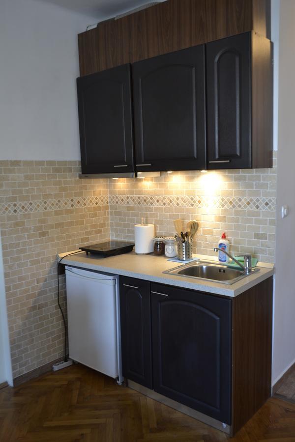 Appartement Studio Braşov Extérieur photo