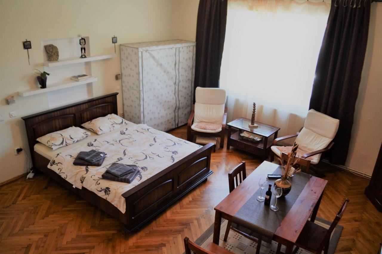 Appartement Studio Braşov Extérieur photo